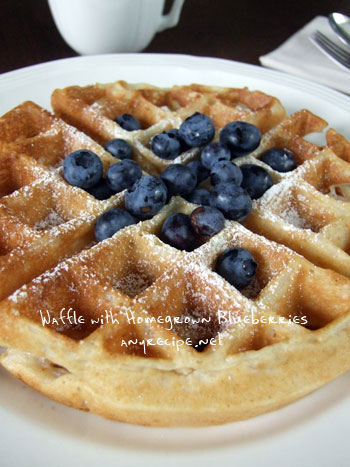 2012_06_04-blueberrywaffle