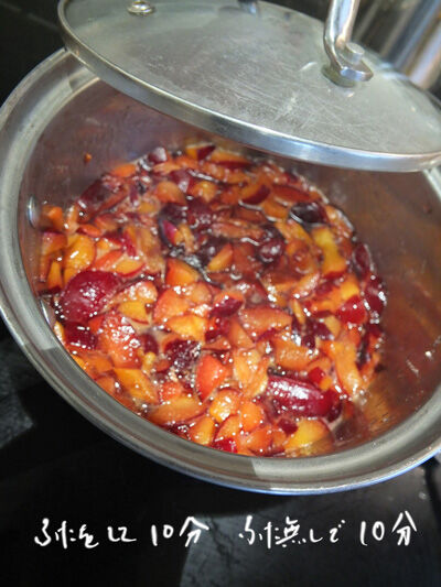 2024-07-10-plumjam4