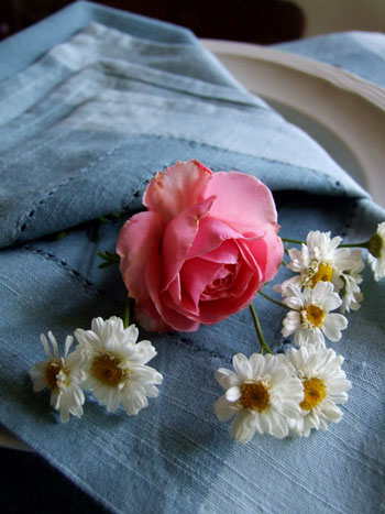 2013-06-06-napkin8