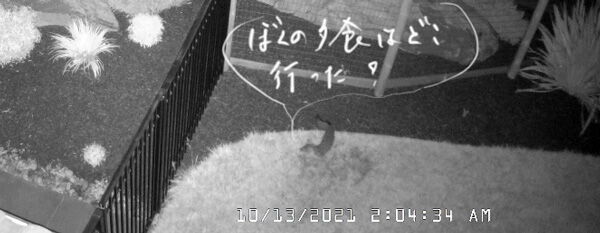 2021-10-19-rabbit7