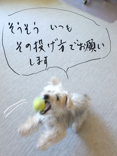 2021-06-21-rasta1