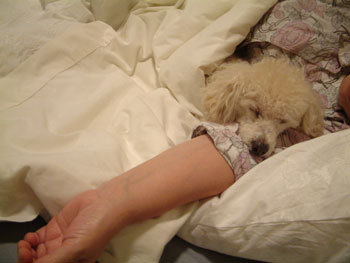 2006_09_04_chibiinbed2