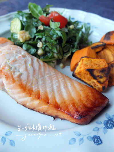 2023-07-20-salmon2
