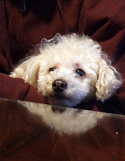 2020-08-08-chibi4