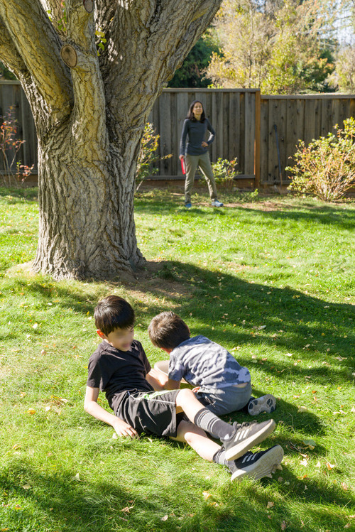 2019-11-06-tree1
