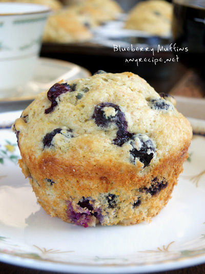 2019-06-22-blueberry4