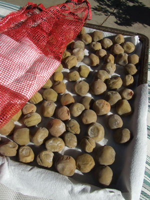 2013-07-31-umeboshi3