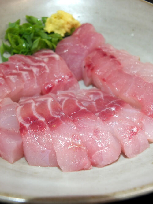 2025-11-15-rockfish6