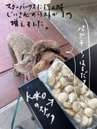 2024-07-30-tkoko1