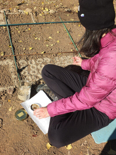 2024-12-07-eggshell2