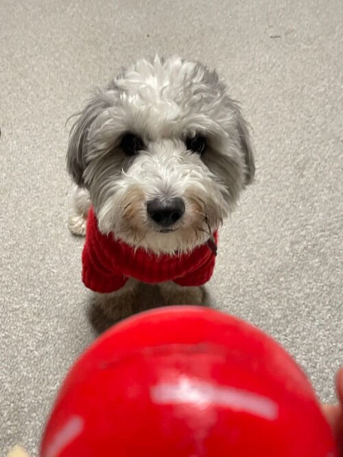 2025-12-17-charlie2
