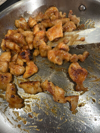 2023-11-19-chicken8