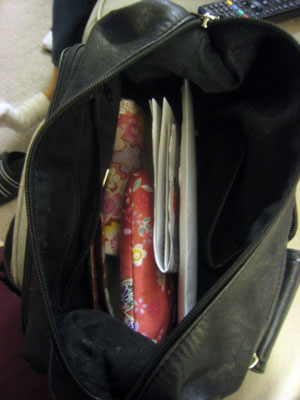 2013-11-12-purse