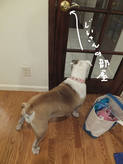 2019-11-30-fight3