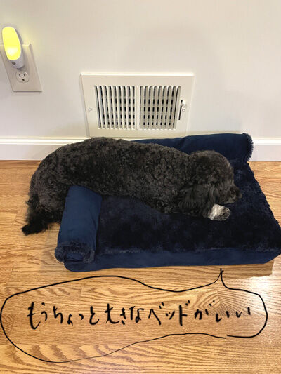 2023-11-17-oreo2