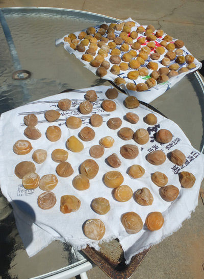 2019-08-07-umeboshi3