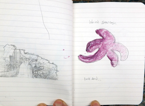 2025-07-23-santacruz12