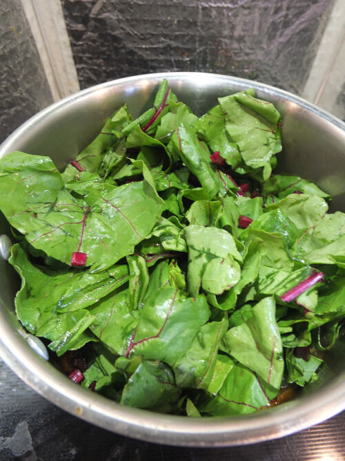 2025-10-09-beetsoup7