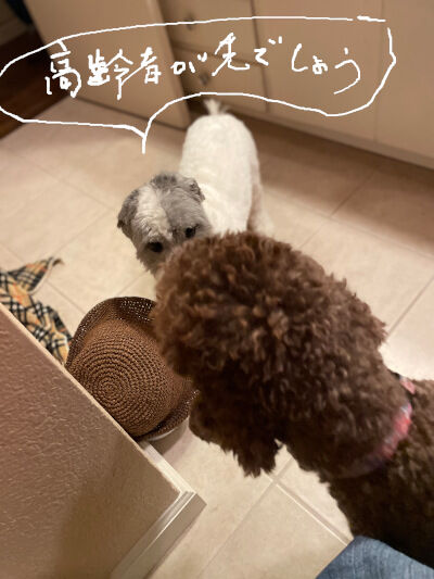 2024-08-17-charlie