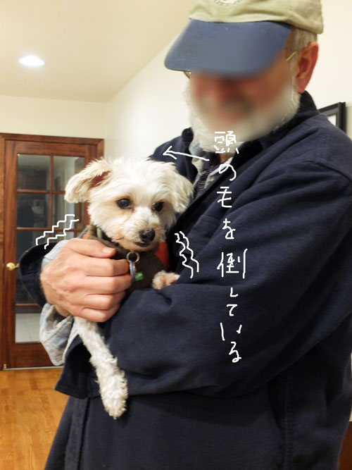 2018-11-15-konan2