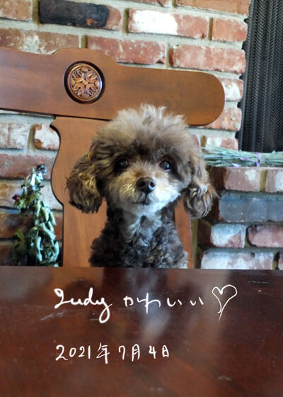 2023-03-06-judy1