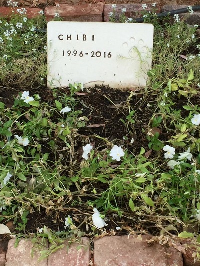 593FAB6D-FFB3-4AE5-A18A-EA01FD0DC59A