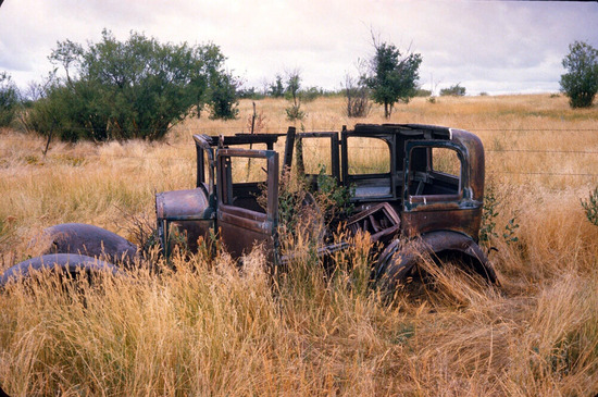 2022-03-03-montana