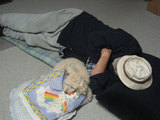 chibi+frank