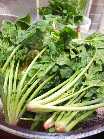 2020-04-03-spinach1