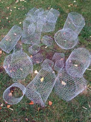 2015-08-07-applecage2