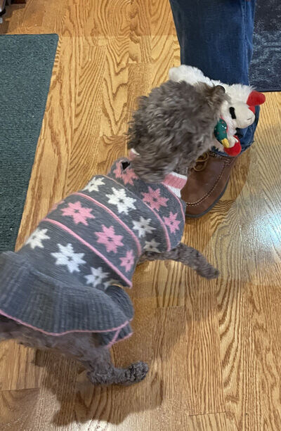 2021-12-28-judy3