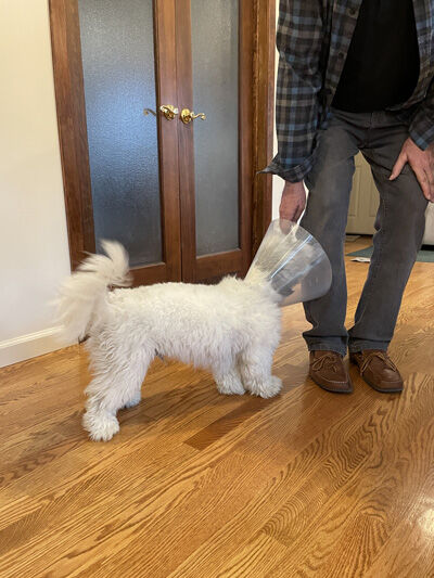2023-12-17-charlie1