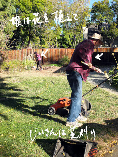 2024-11-16-yardwork1