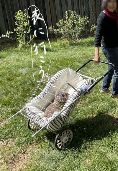 2022-05-02-cart4