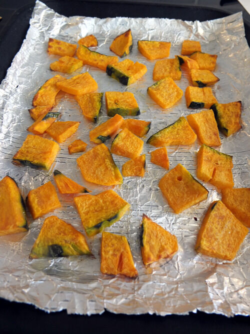 2025-11-09-kabocha7