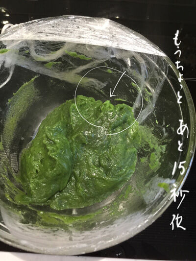2021-04-20-yomogi6
