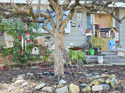 2024-02-24-tree