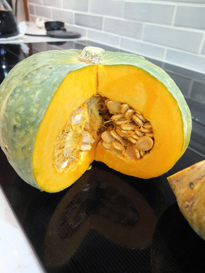 2019-04-10-pumpkin5