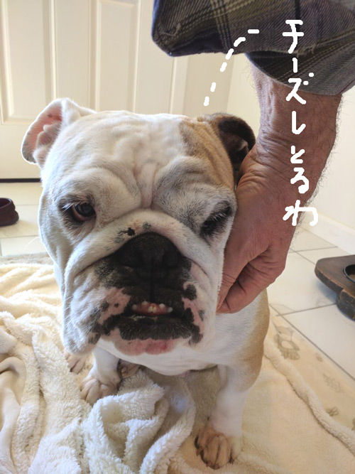 2019-01-23-nikie3