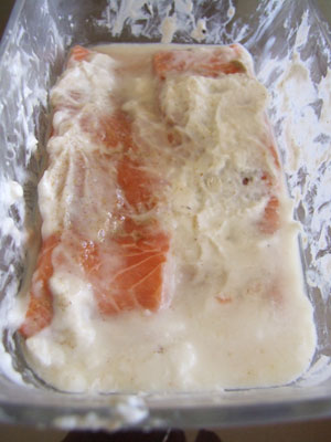 2013-11-02-marinade
