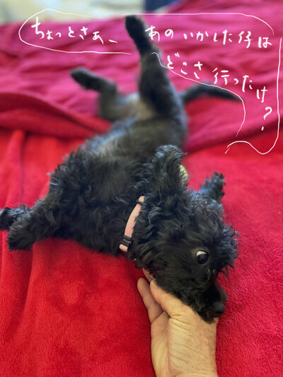 2024-07-15-kiki