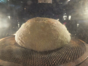 2026-04-13-sourbread9