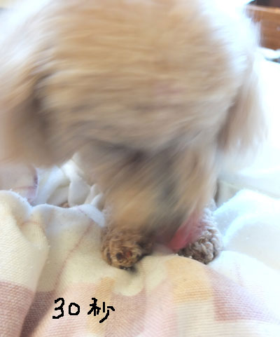 2017-03-17-an8