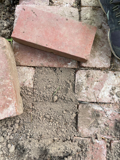 2026-04-19-gopher6
