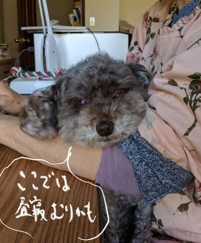 2023-02-07-judy1