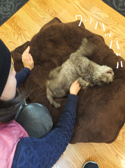 2019-12-29-judy2