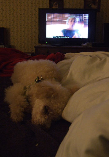 2015-10-01-chibitv