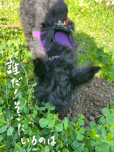 2025-07-03-kiki2