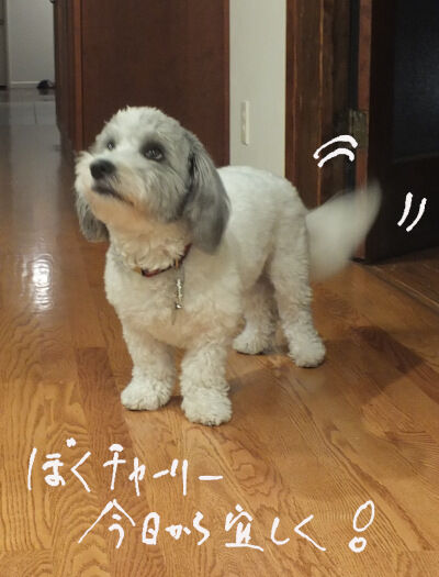 2025-06-12-charlie1