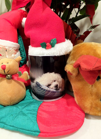 2016-12-24-chibigone3